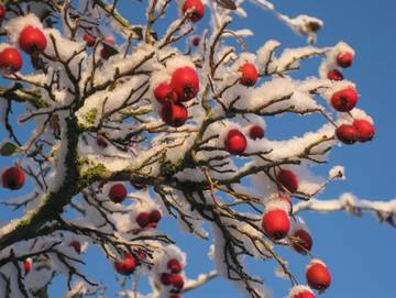 Ferienwohnung für 6 Personen in Zwischenahner Meer, Bad Zwischenahn, Bild 3