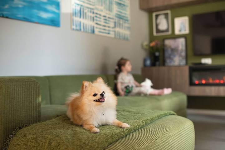 Ferienhaus für 10 Personen, mit Terrasse in Mainz - 4