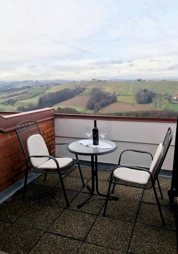 Gîte pour 2 personnes, avec vue et jardin, animaux acceptés dans Ormož - 4