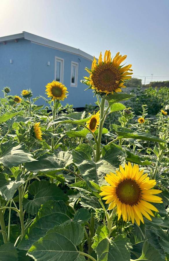 Chalet für 2 Personen, mit Garten und Ausblick in Syrakus - 4