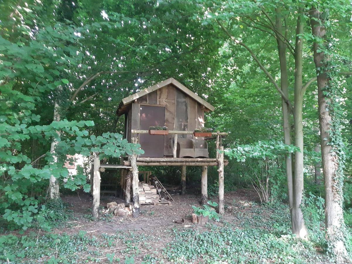 Baumhausnächte in Ladbergen, Münsterland