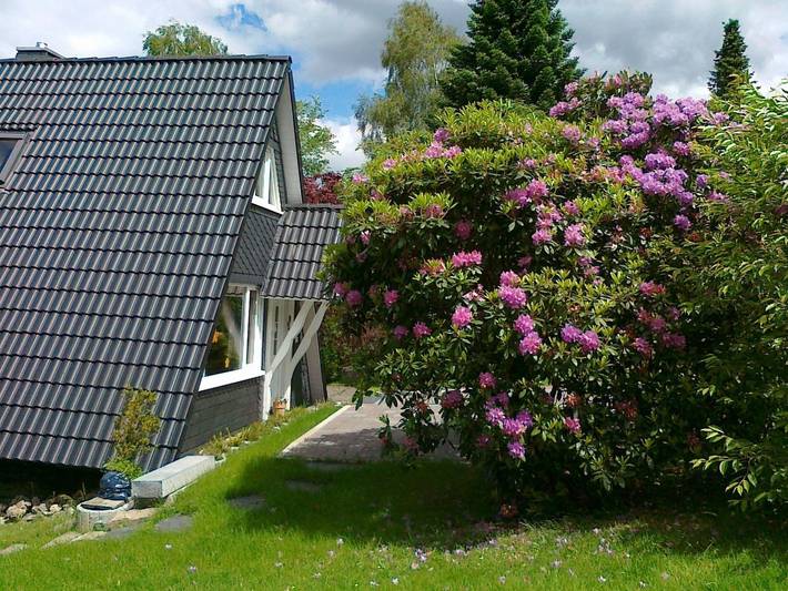 Ferienhaus für 5 Personen, mit Terrasse und Garten im Sauerland - 2