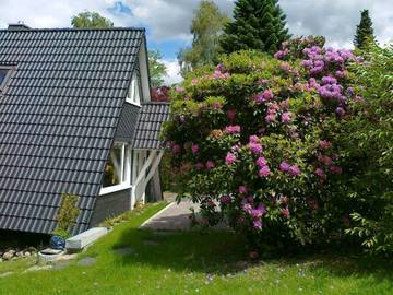 Ferienhaus für 5 Personen in Kirchhundem, Sauerland, Bild 1