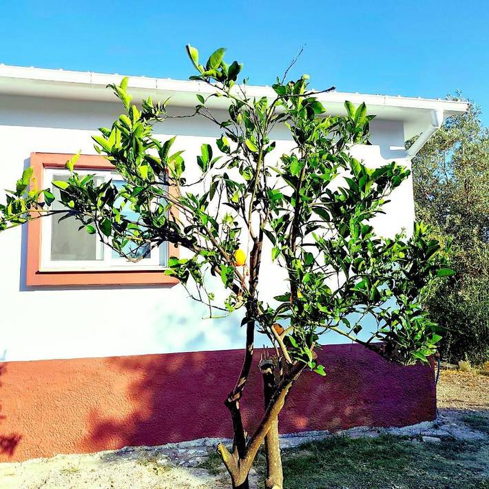 Ferienwohnung für 2 Personen, mit Garten - 1