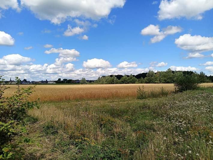 Ferienwohnung für 5 Personen, mit Ausblick und Garten in Goch - 4
