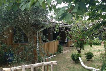 Maison De Vacances pour 4 Personnes dans Lège-Cap-Ferret, Bassin d'Arcachon, Photo 4