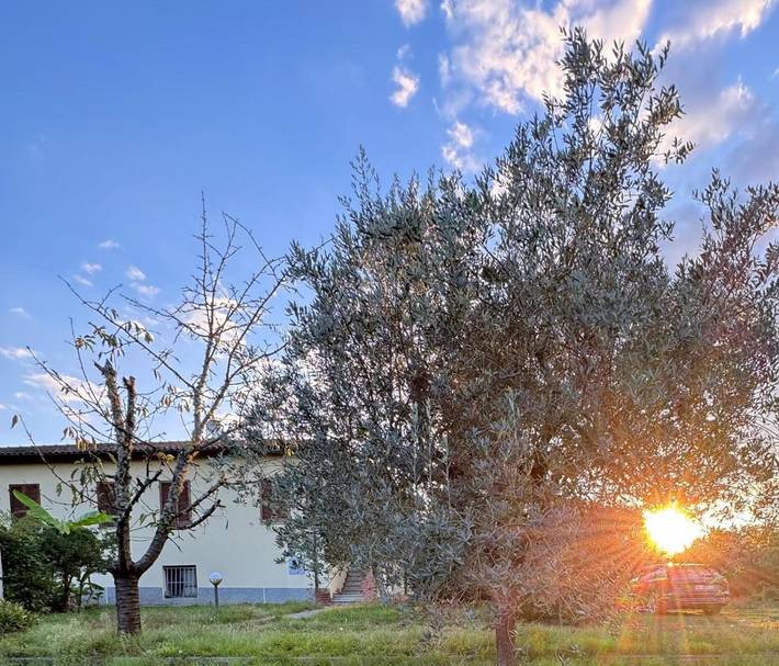Agriturismo per 2 persone, con Terrazza e Giardino nonché Panorama a Montevarchi