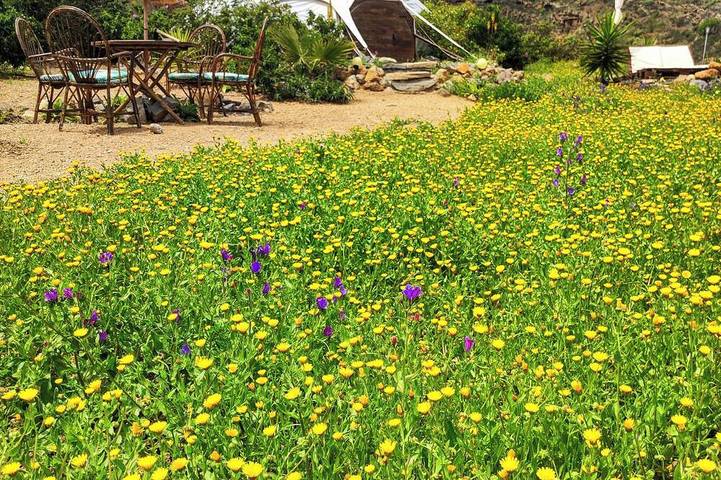 Finca für 4 Personen in Arico - 2