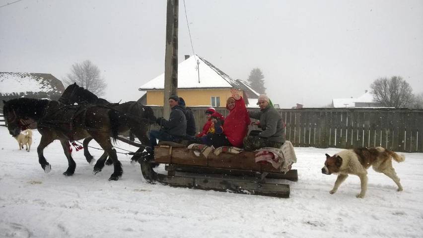 Location de vacances pour 2 personnes, avec jardin dans Mărișel - 2