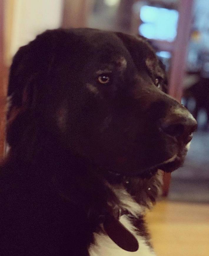 Hôtel pour 2 personnes, avec jacuzzi ainsi que sauna et jardin dans Borgata Sestriere - 2