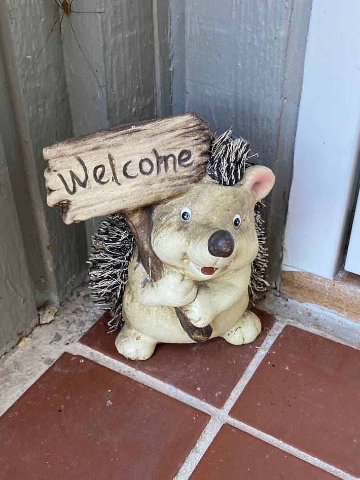 Ferienhaus für 7 Personen, mit Garten und Seeblick in Hvalpsund
