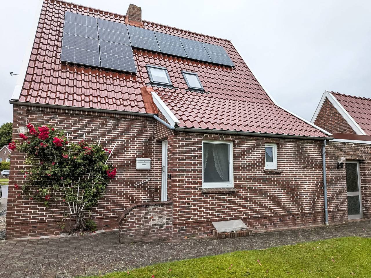 Seehase in Norden, Norden und Umgebung