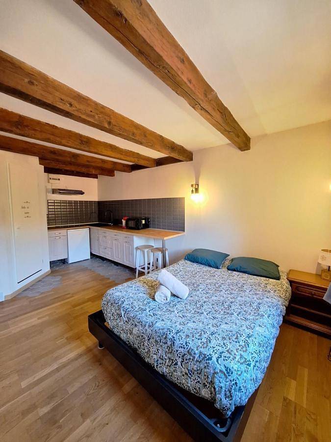 Gîte pour 5 personnes, avec jacuzzi à Alby-sur-Chéran - 3