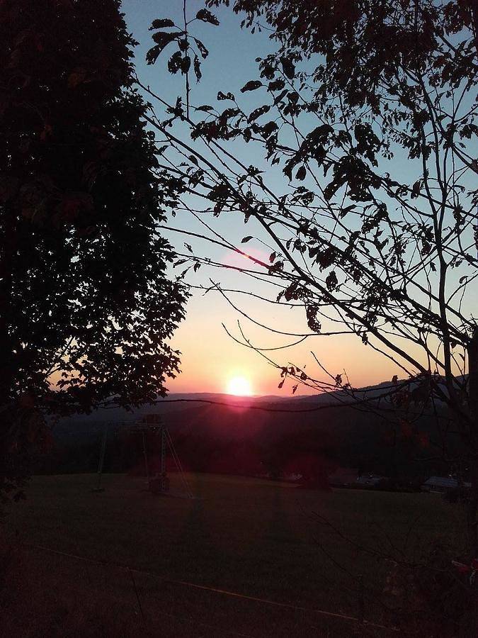 Ferienhaus für 6 Personen, mit Garten, kinderfreundlich in Landkreis Freyung-Grafenau - 3