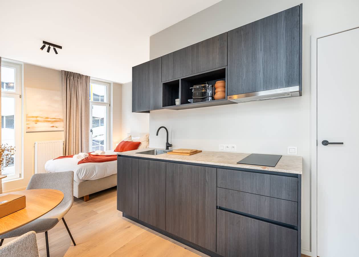 Appartamento intero, Casiola - Modern Studio with Views in Gand, Provincia delle Fiandre Orientali