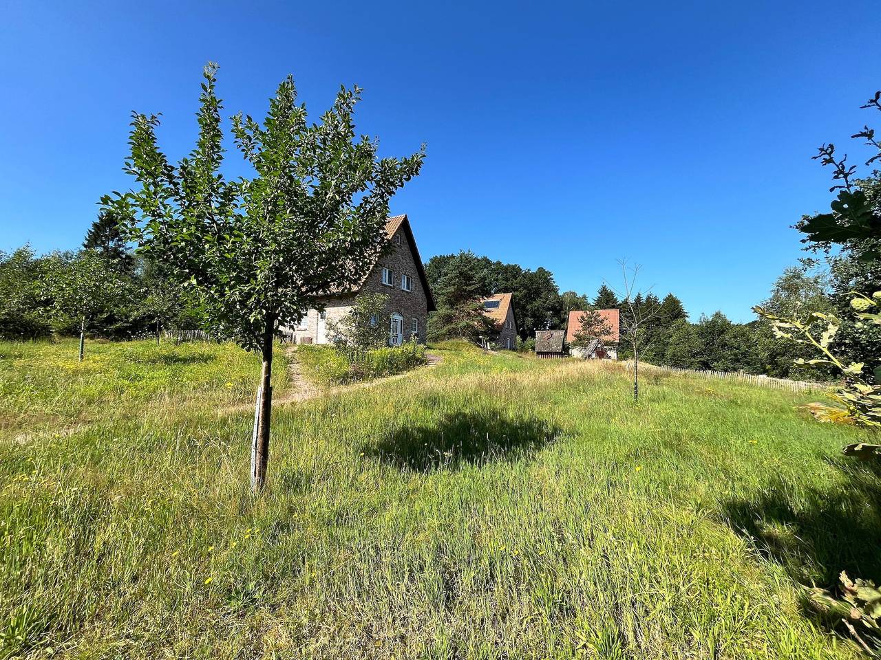 Bispinger Heidezauber - Haus Weißdorn in Bispingen, Landkreis Heidekreis
