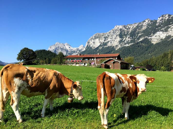 Ferienwohnung für 4 Personen, mit Balkon und Terrasse sowie Garten in Ramsau bei Berchtesgaden