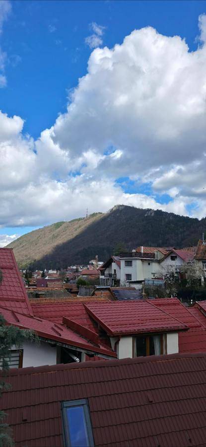 Location de vacances pour 9 personnes, avec vue et terrasse dans Poiana Brasov - Brasov - 2