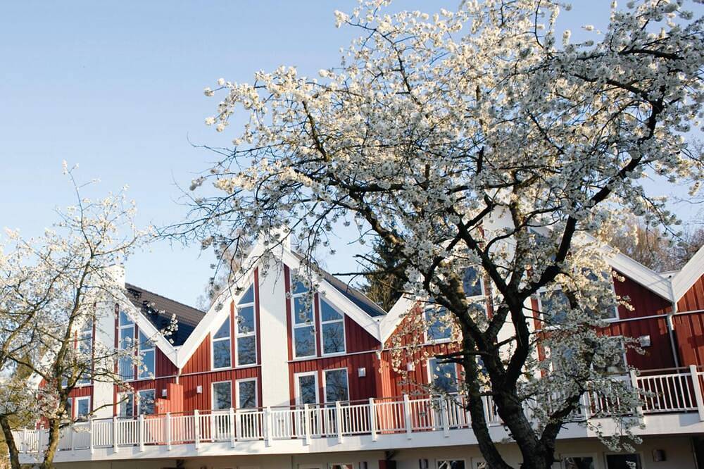 Ferienhaus für 6 Personen in Bad Saarow, Scharmützelsee