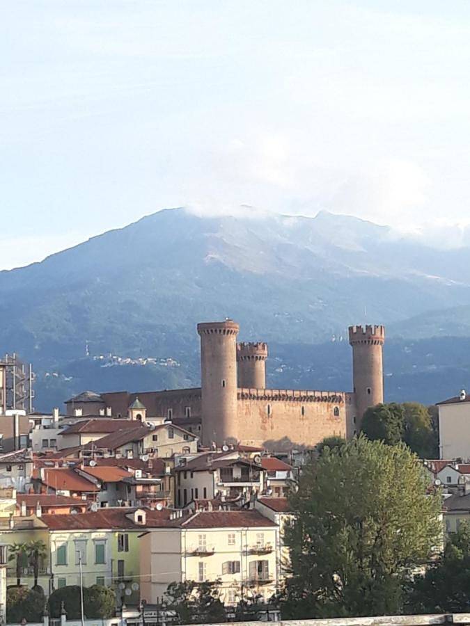 Camelia in Ivrea (Italie), Canavese
