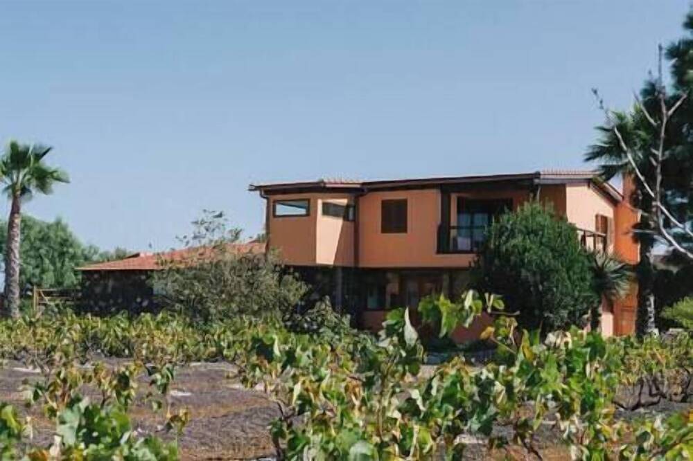 Entire apartment, Finca Vilaflor - The loft in Vilaflor, South Tenerife
