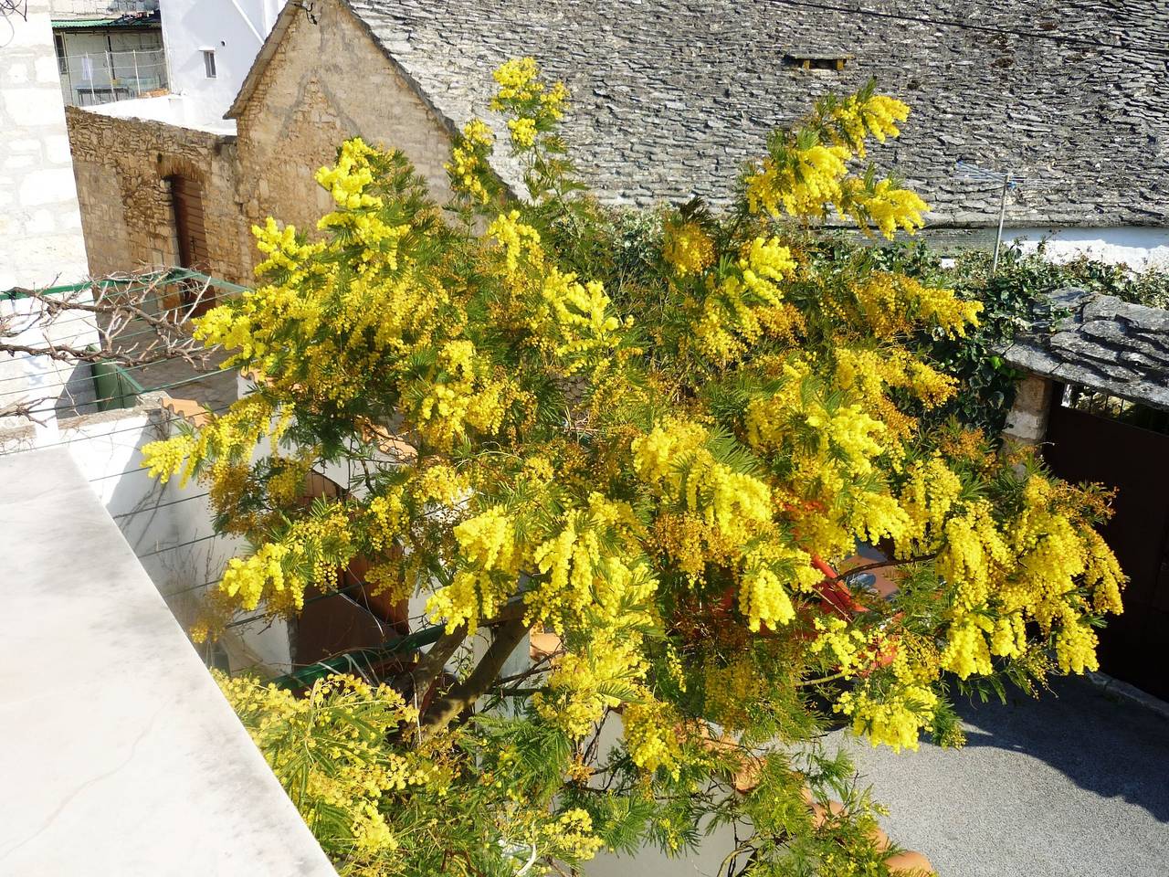 Entire apartment, Apartment Karla 4 in Supetar, Brac