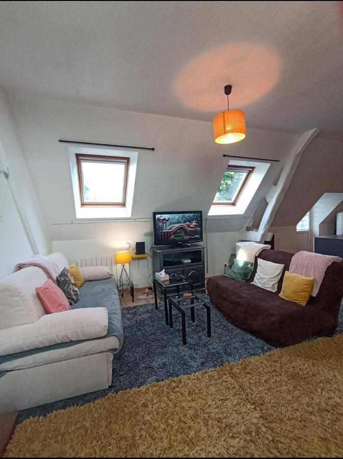 Gîte pour 8 personnes, avec vue et jardin, animaux acceptés à Tauxigny - 3