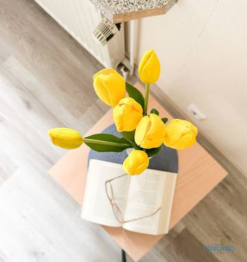 Bungalow für 3 Personen in Döse, Cuxhaven, Bild 3