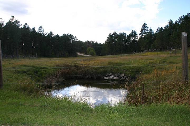 Vacation rental for 10 people, with yard and terrace in Custer State Park