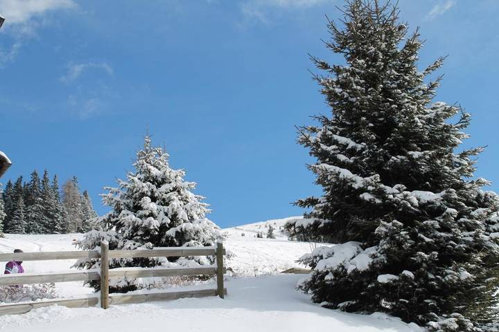 Ferienanlage für 10 Personen, mit Garten und Sauna sowie Ausblick und Balkon in Kärnten - 2
