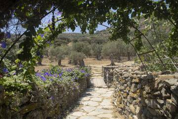 Villa for 4 People in Tinos, Cyclades, Photo 1
