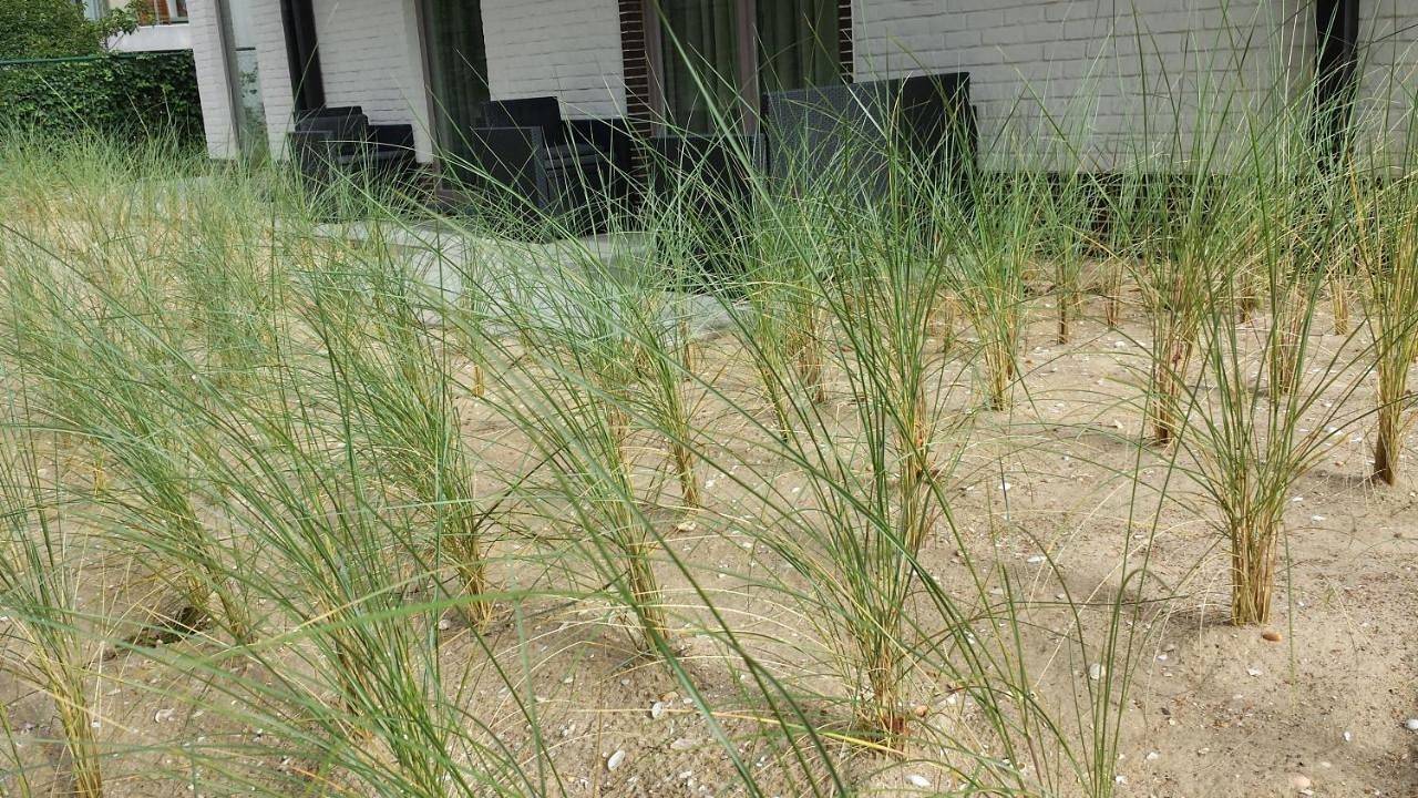 Villa Vindina in De Panne, Belgische Kust