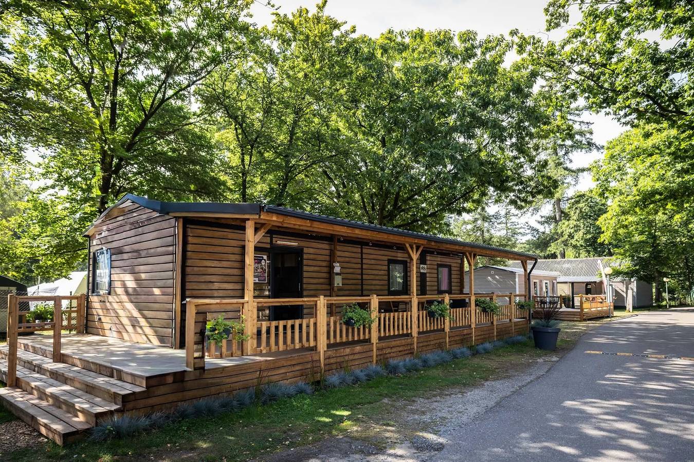 Excellence 2 slaapkamers 4 personen in Nunspeet, Veluwe
