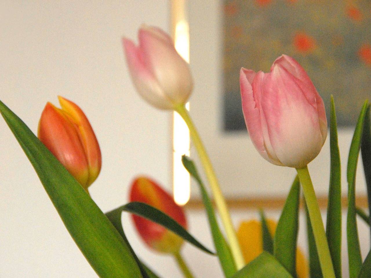 Ganze Ferienwohnung, Ferienwohnung Himmelblau - Ferienwohnung Himmelblau in Strullendorf, Landkreis Bamberg