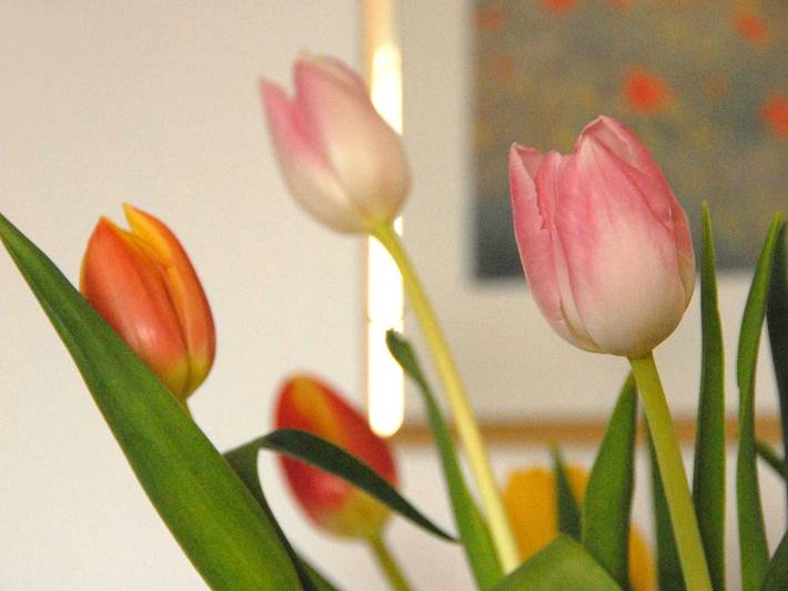 Ferienwohnung für 8 Personen, mit Ausblick und Garten, kinderfreundlich in Strullendorf - 3