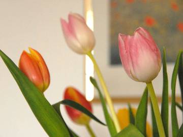 Ferienwohnung für 8 Personen in Strullendorf, Franken, Bild 2