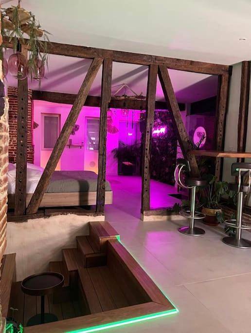 Gîte pour 2 personnes, avec terrasse et jacuzzi à Léguevin - 4