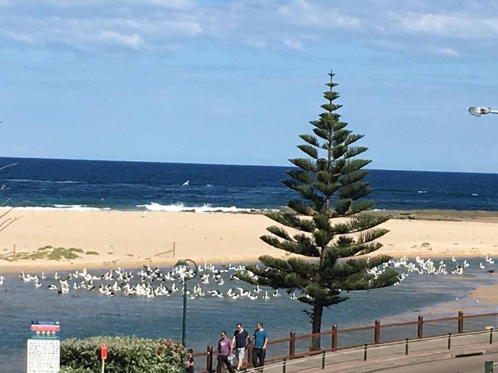 Ganze Wohnung, Spectacular Waterfront apartment. Best location in The Entrance. in The Entrance, New South Wales