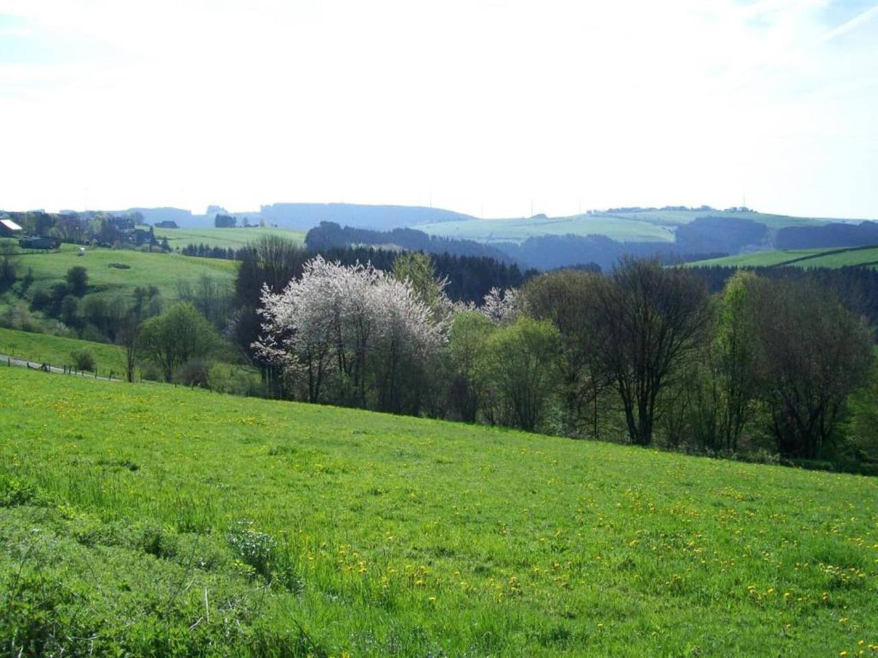 Gezellig appartement in Hellenthal, foto 15