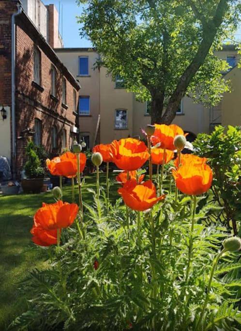 Vakantiewoning voor 4 personen, met uitzicht en tuin in Cottbus