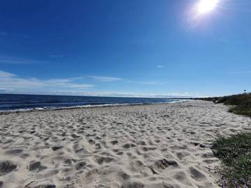 Feriehus til 10 Personer i Marielyst, Lolland-Falster, Bilde 4