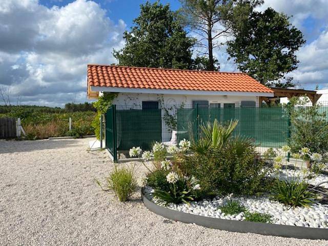 Location de vacances pour 2 personnes, avec vue et jardin ainsi que terrasse et piscine, animaux acceptés à Herm