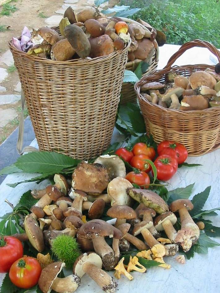 Location de vacances pour 2 personnes, avec piscine et jardin à Mulazzo - 2