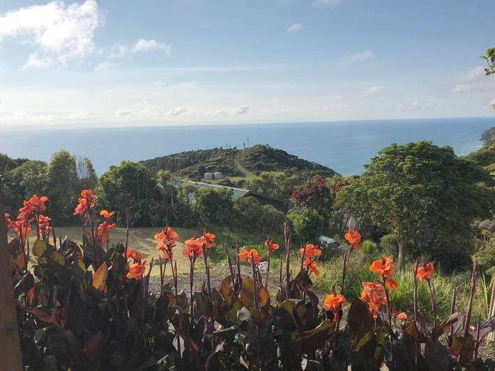 Location de vacances pour 2 personnes, avec piscine ainsi que jardin et vue à Auckland - 2