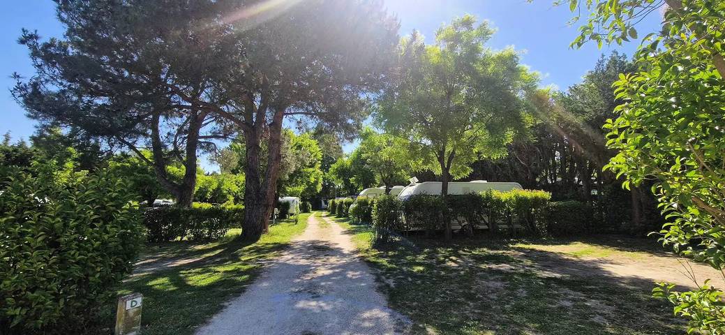 Bungalow für 4 Personen, mit Terrasse und Pool in der Provence - 3