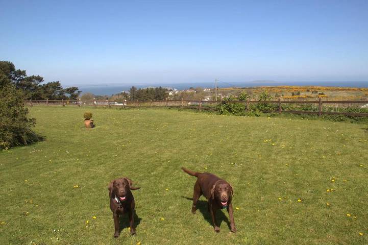Gîte pour 4 personnes, avec jardin ainsi que vue et terrasse à Howth - 4