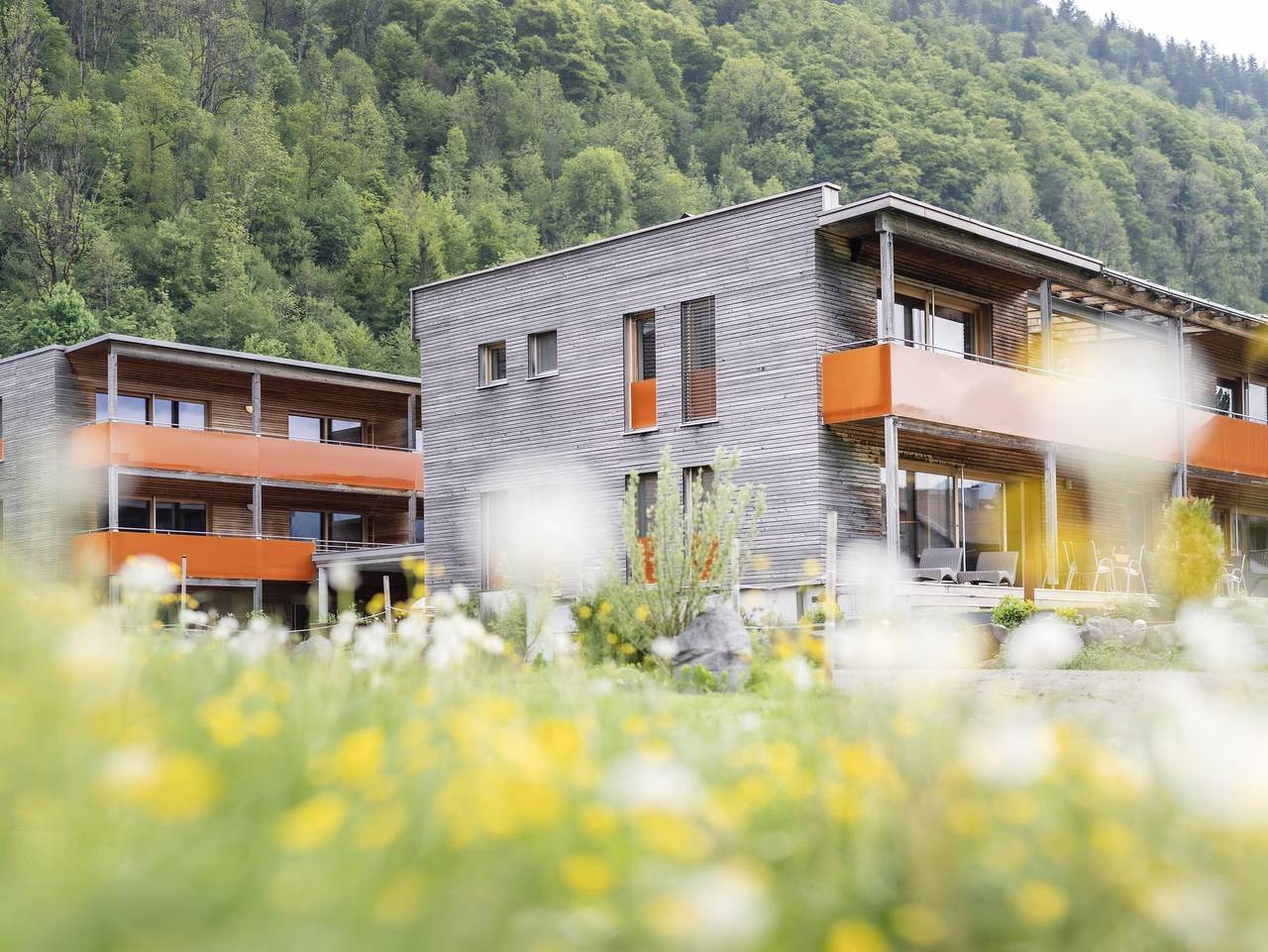 Ganze Ferienwohnung, Haus Sonne & Spa - Appartment Sonnenzeit in Bizau, Bregenzerwald