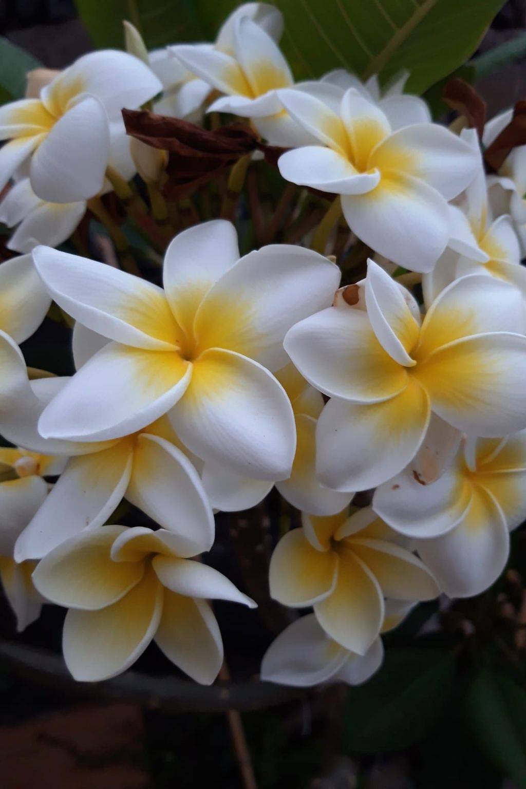 Komfortable geräumige Wohnung mit bester Aussicht 5p max in Santa Catalina, Hermigua