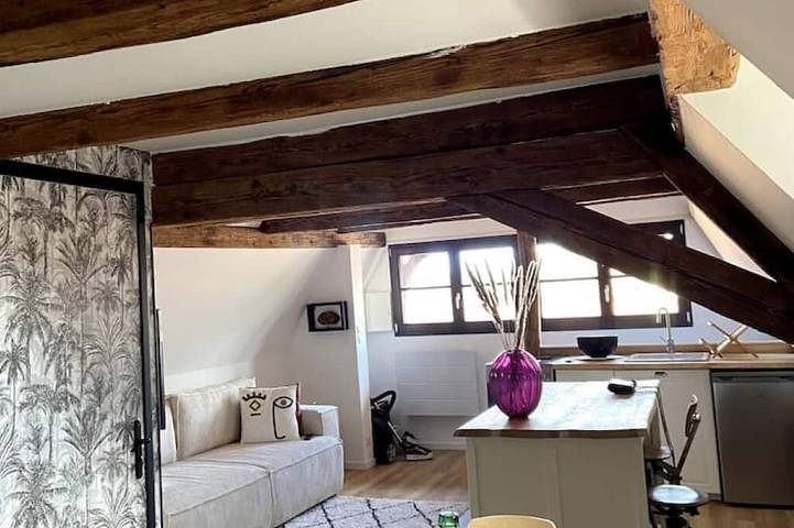 Gîte pour 4 personnes à Sélestat - 4