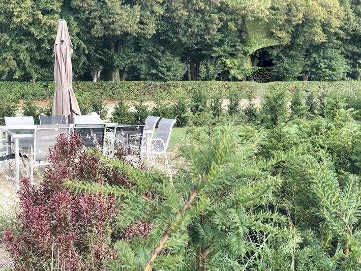 Location de vacances pour 14 personnes, avec vue et jardin à Azay-sur-Cher - 2